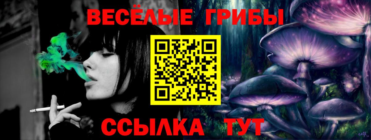 Псилоцибиновые грибы Magic Shrooms  Вход с VPN  купить   Осинники 